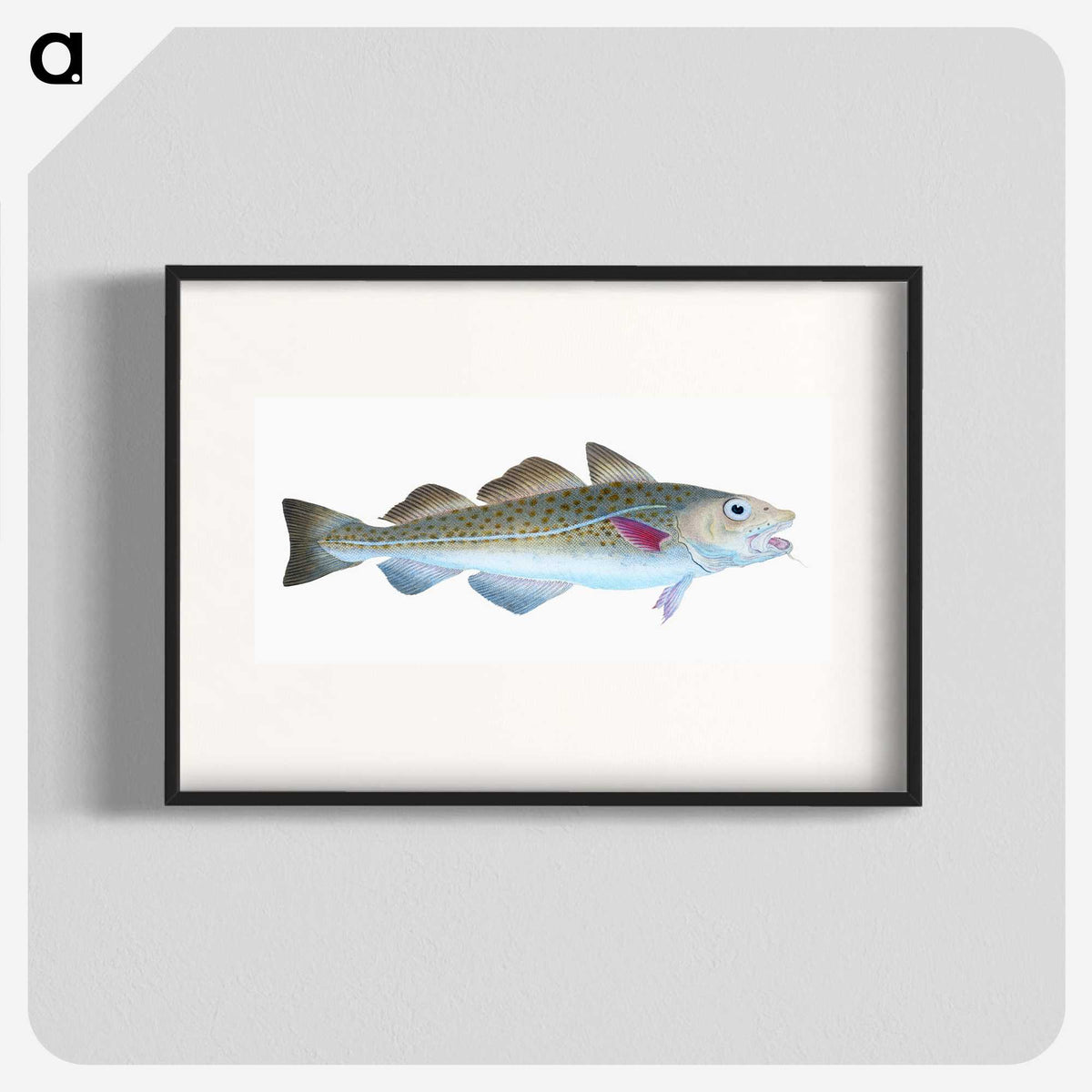 1-60_The-Natural-History-of-British-Fishes_blk