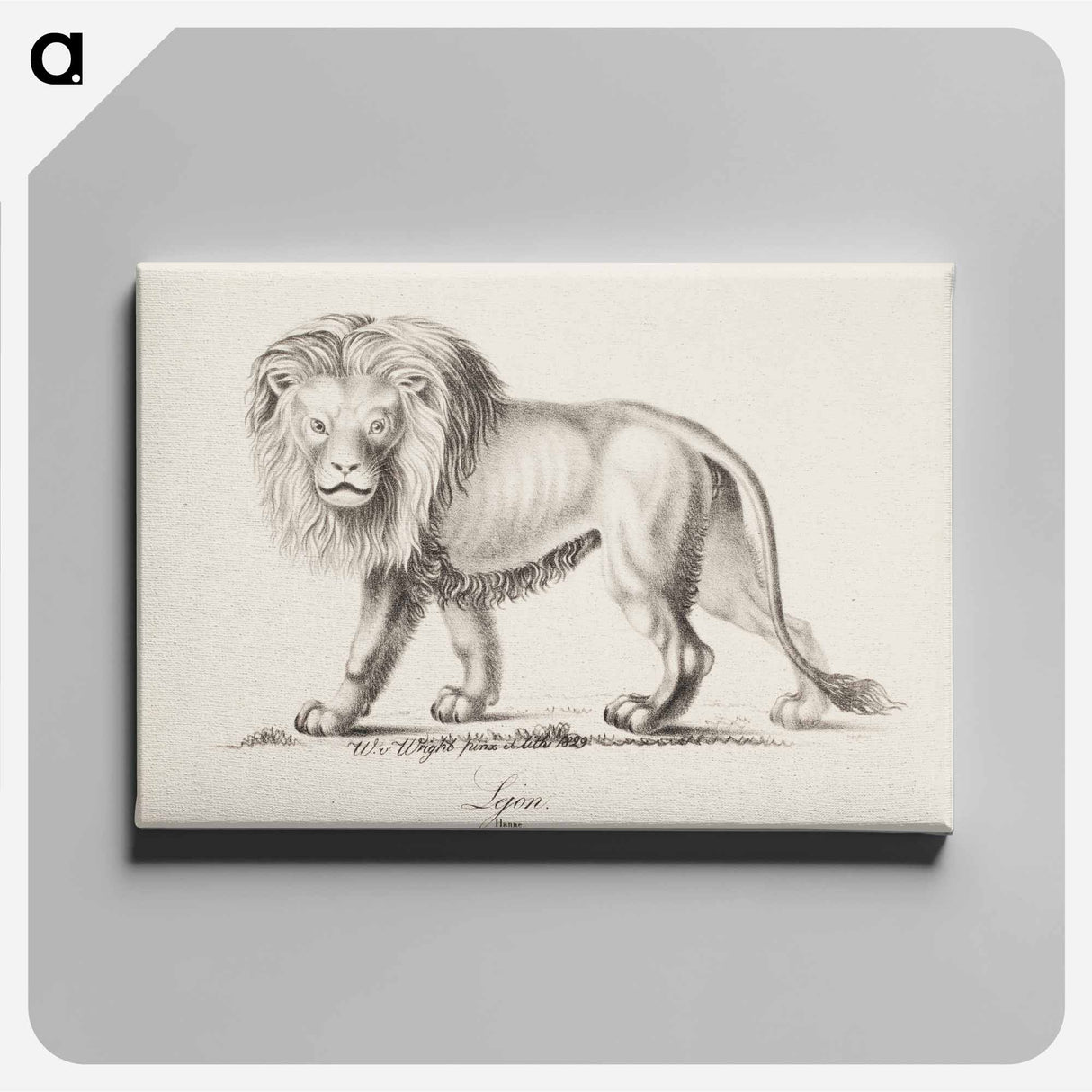 Lion - Wilhelm von Wright Canvas.