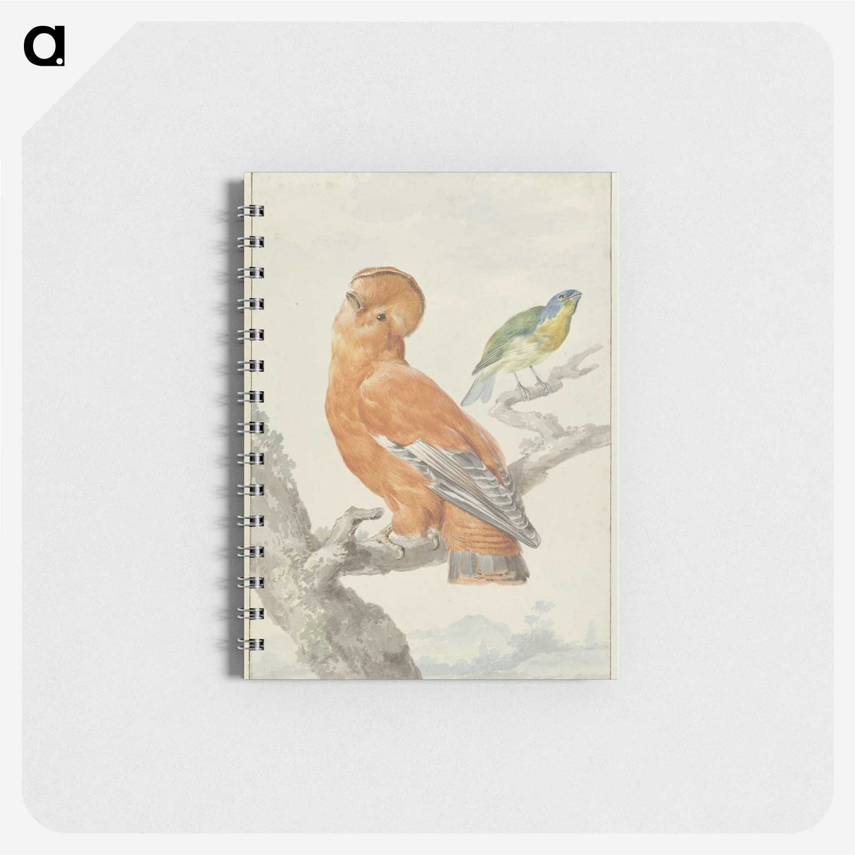 1-61_Aert-Schouman_memo
