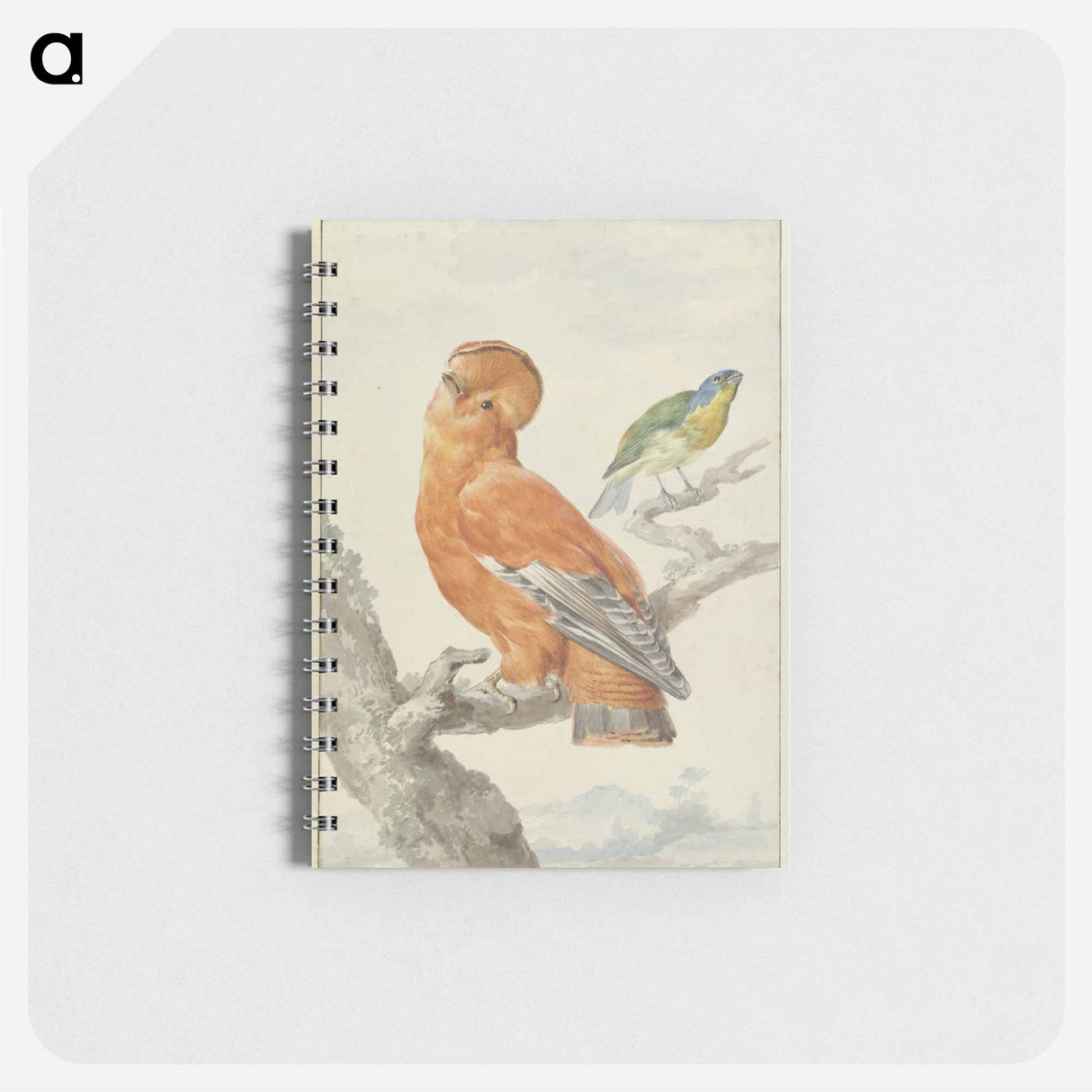 Two Exotic Birds - アールト シューマン Memo.