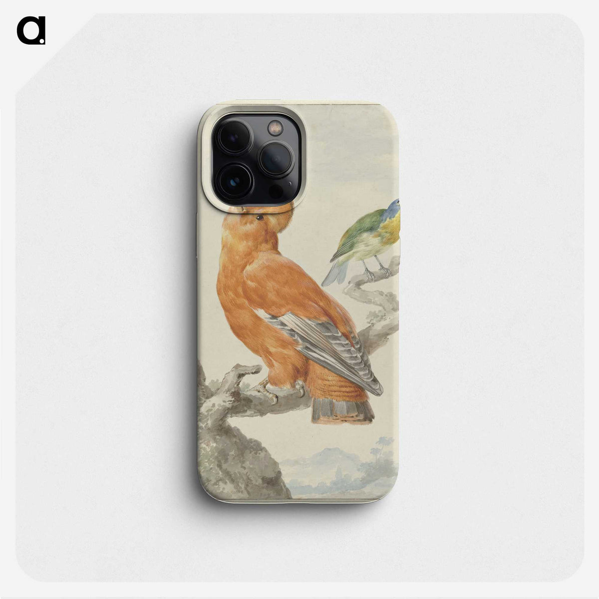 1-61_Aert-Schouman_phone