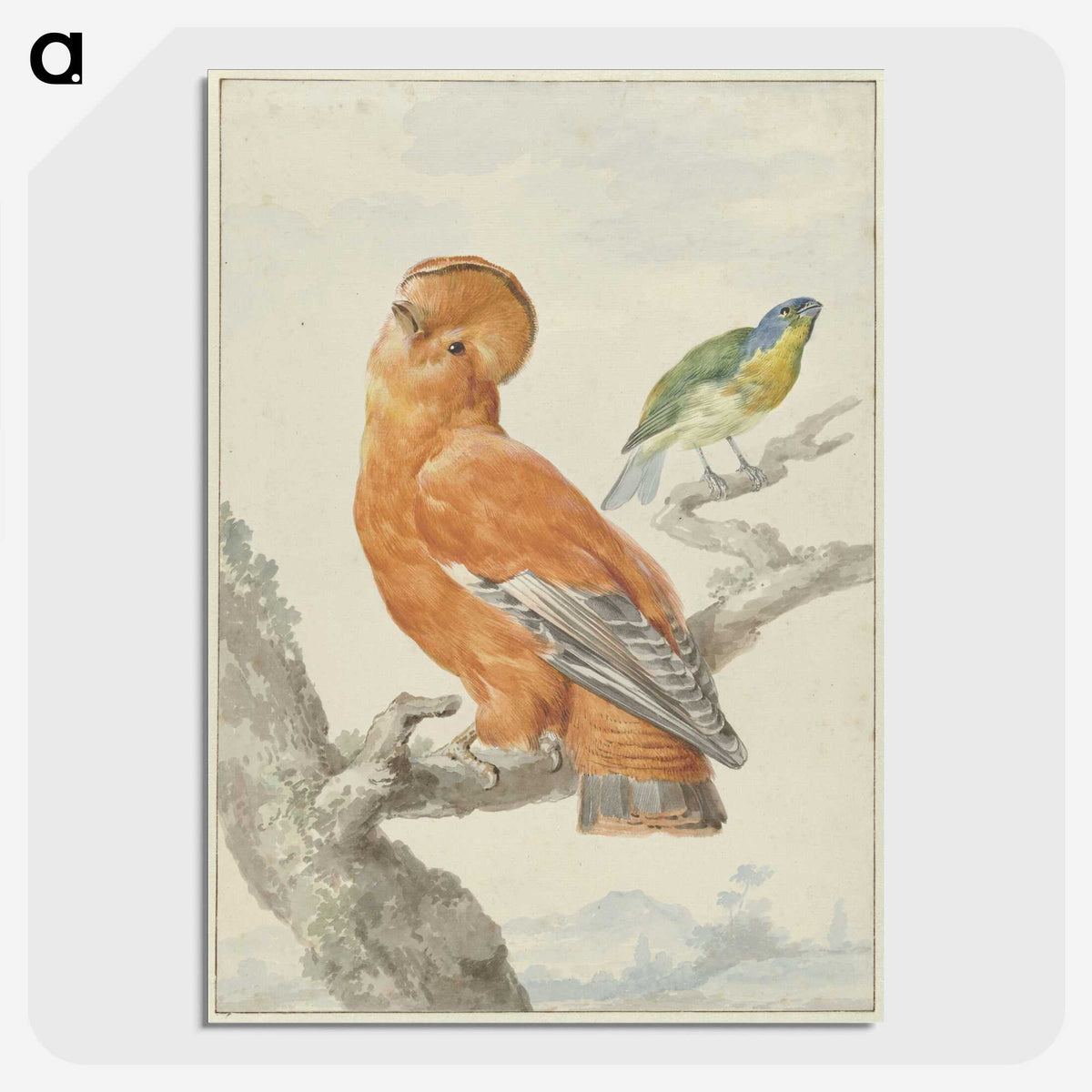 1-61_Aert-Schouman_picture-crop