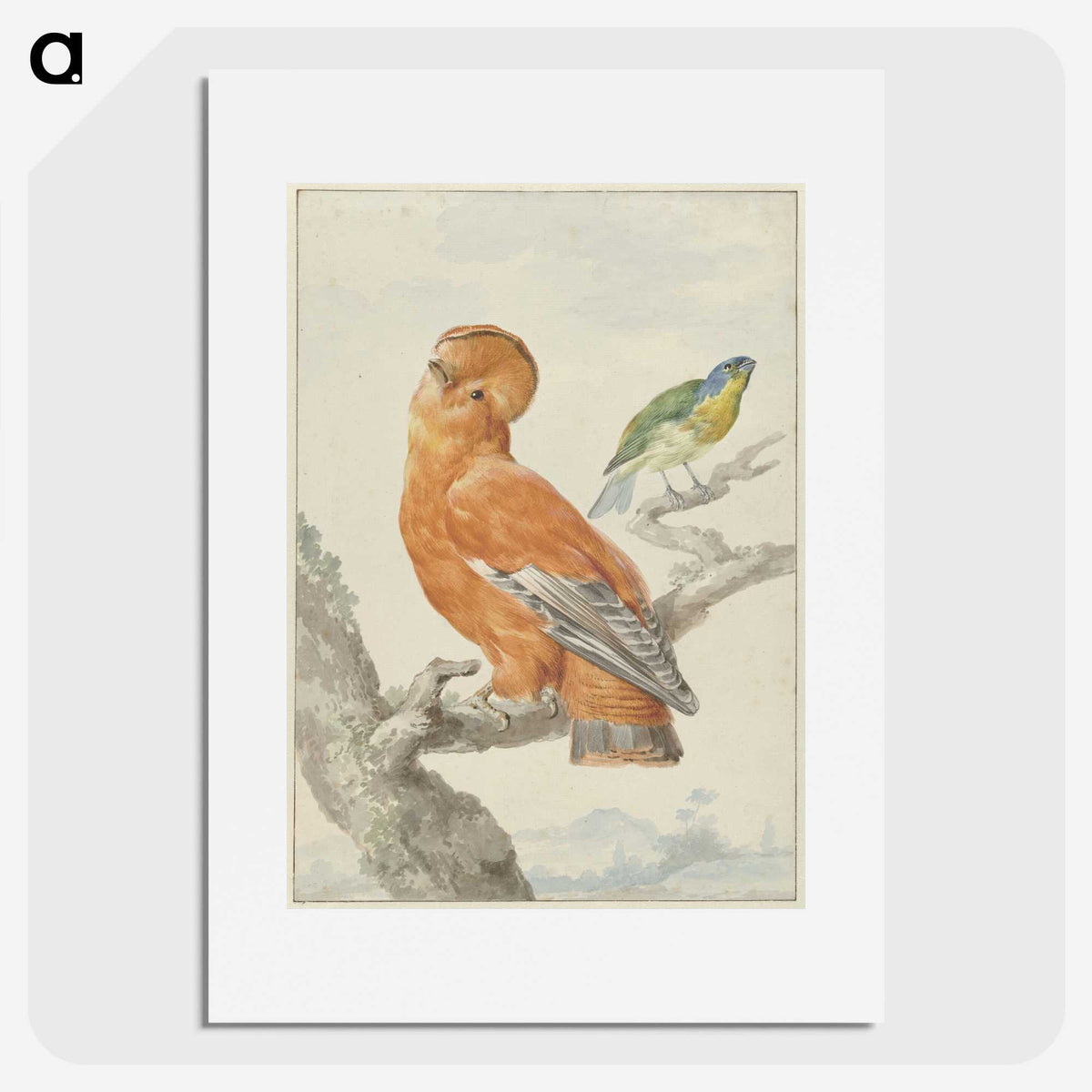 1-61_Aert-Schouman_picture