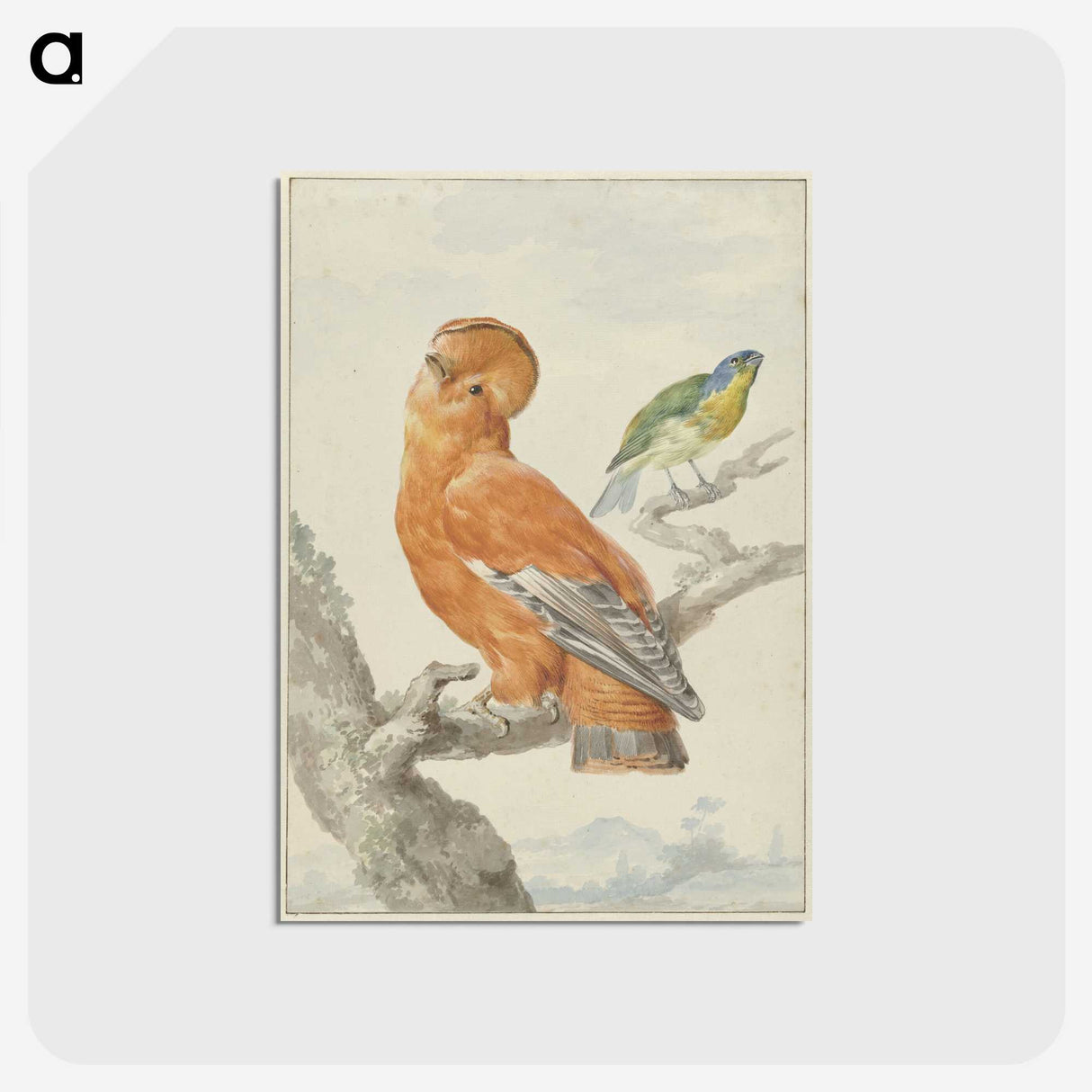 1-61_Aert-Schouman_postcard