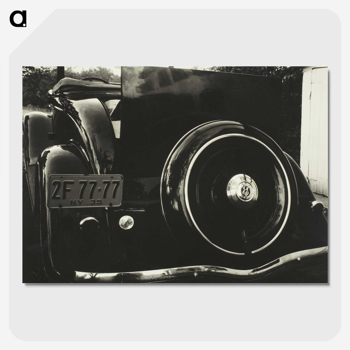 1-61_Alfred-Stieglitz_picture-crop
