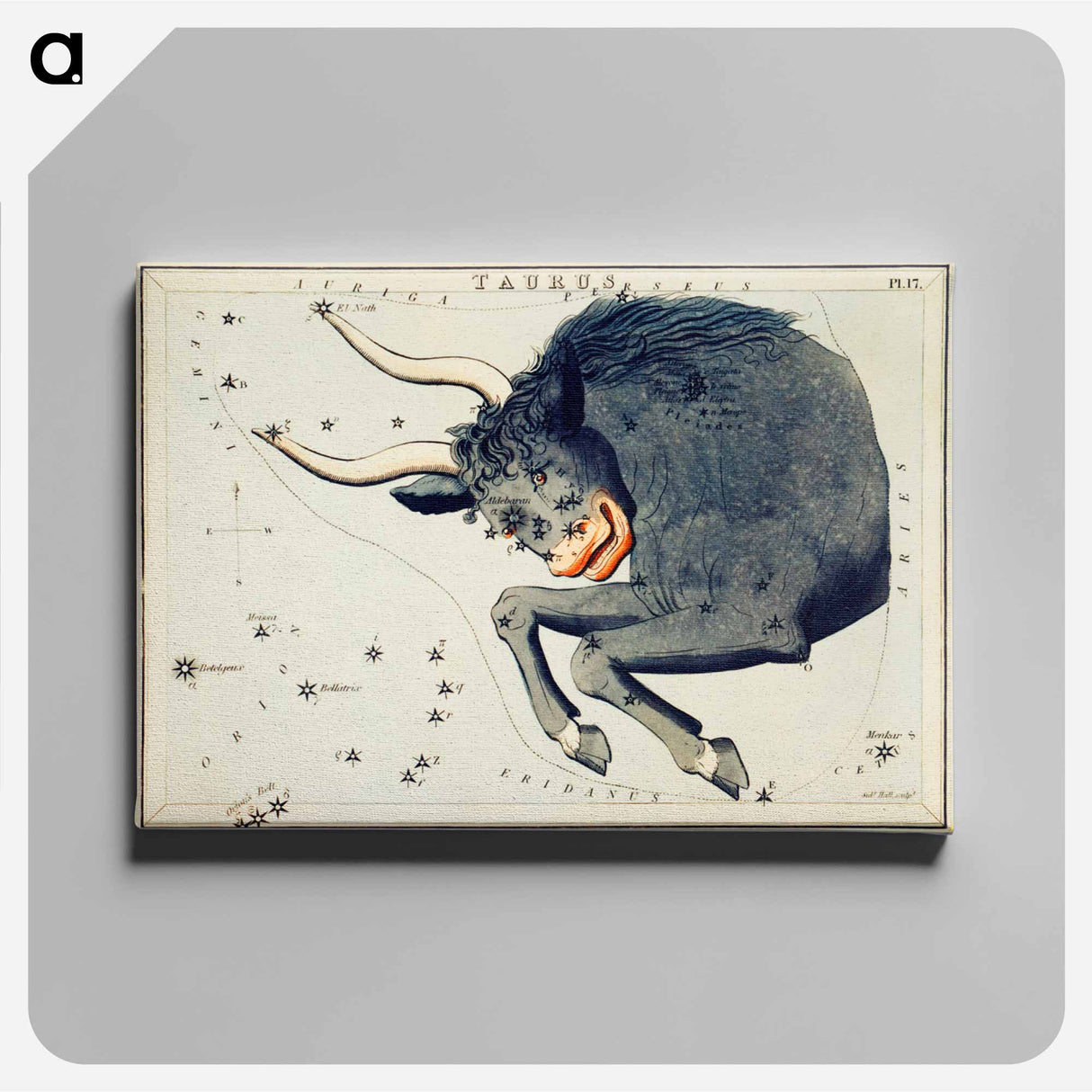 Astronomical chart of the Taurus - アンティーク地図 Canvas.