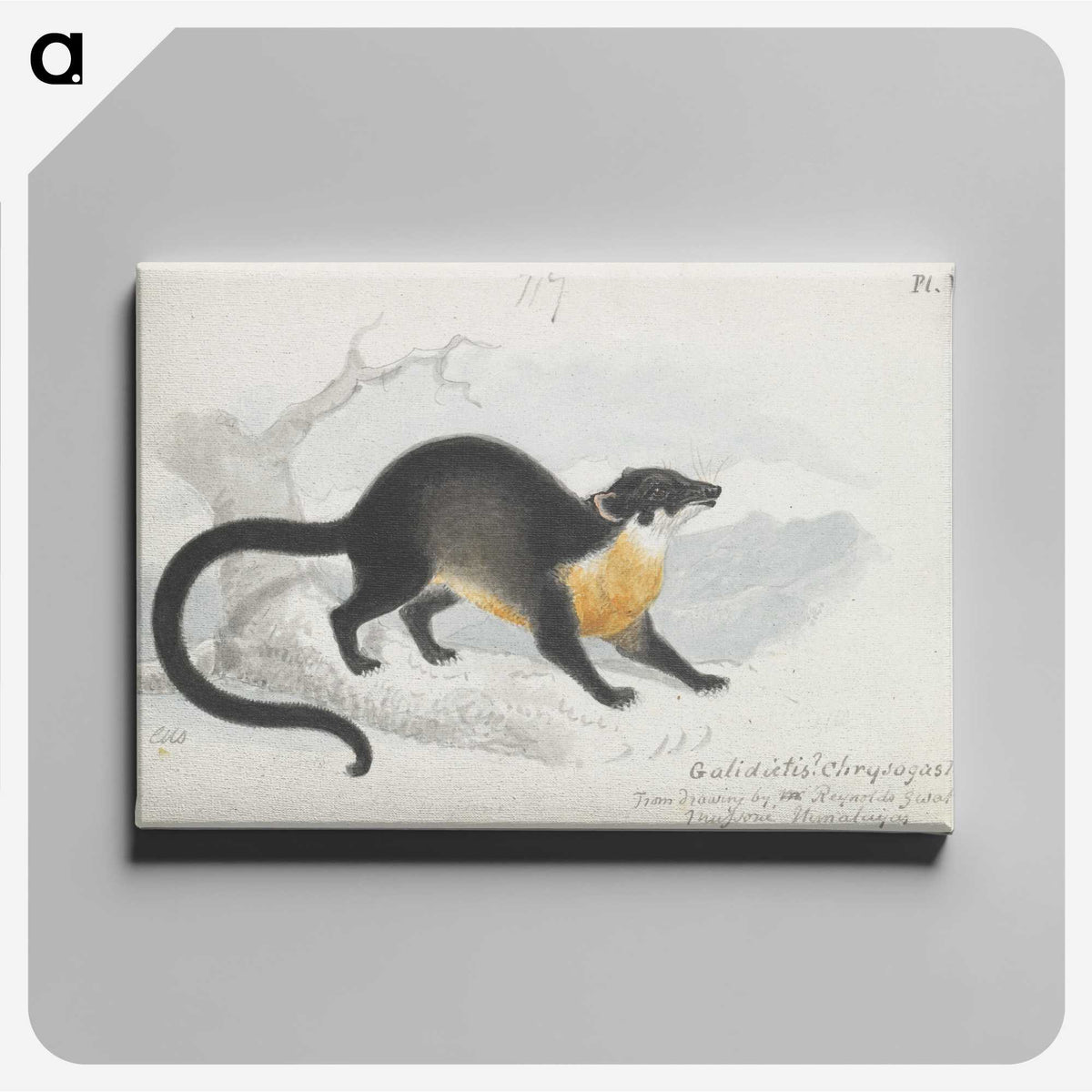 1-61_Charles-Hamilton-Smith_canvas