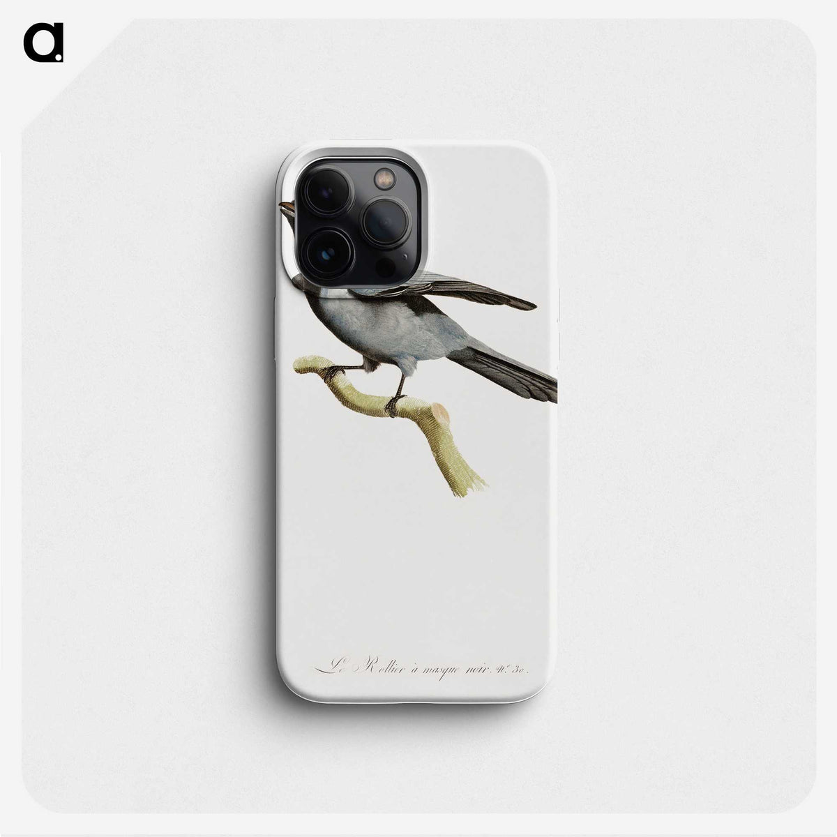 1-61_Des-Oiseaux-de-Paradis_phone