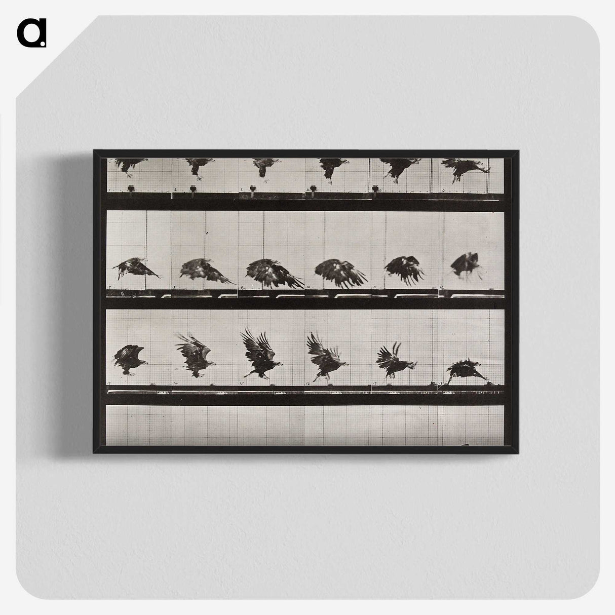 1-61_Eadweard-Muybridge_blk-crop