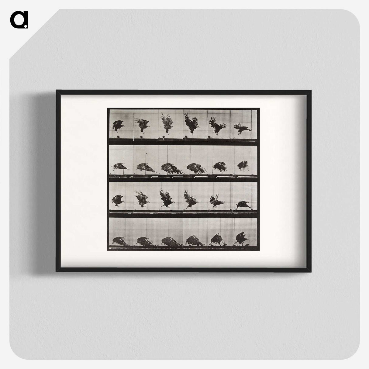 1-61_Eadweard-Muybridge_blk