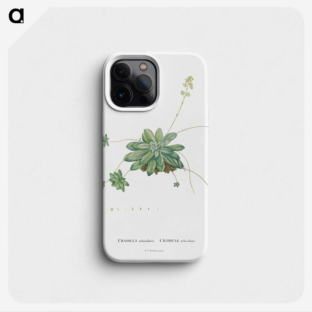 1-61_Histoire-des-Plantes-Grasses_phone
