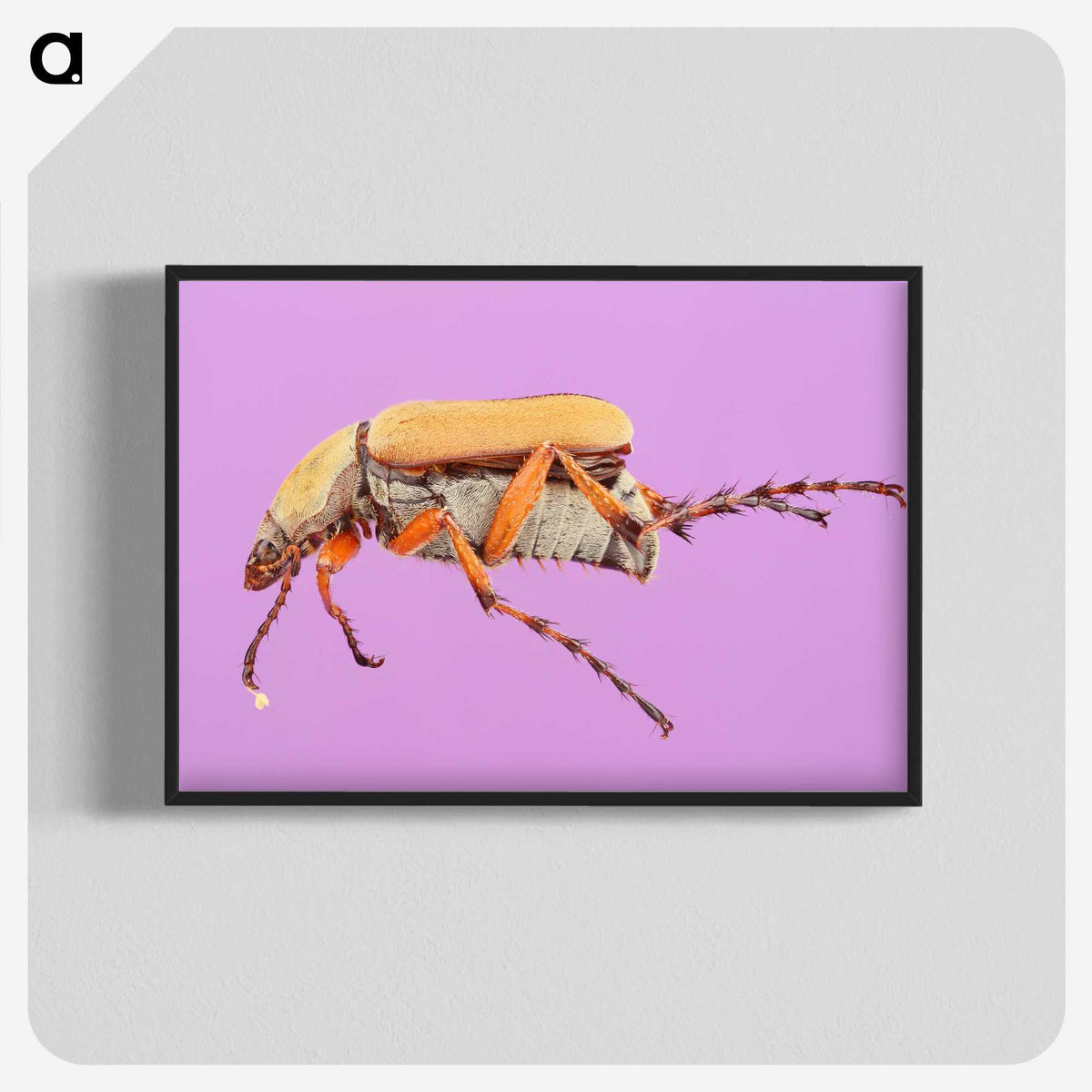 1-61_Insects-Unlocked-Project_blk-crop
