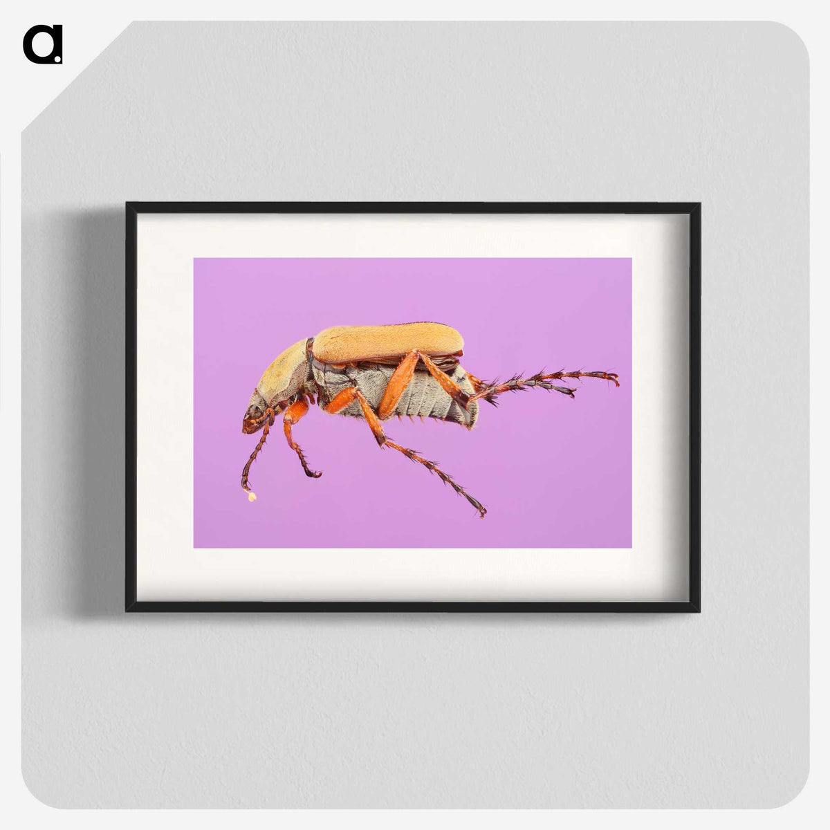 1-61_Insects-Unlocked-Project_blk