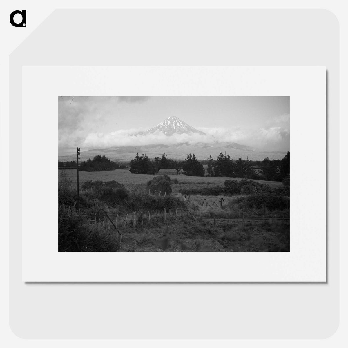 1-61_James-Walter-Chapman-Taylor_picture