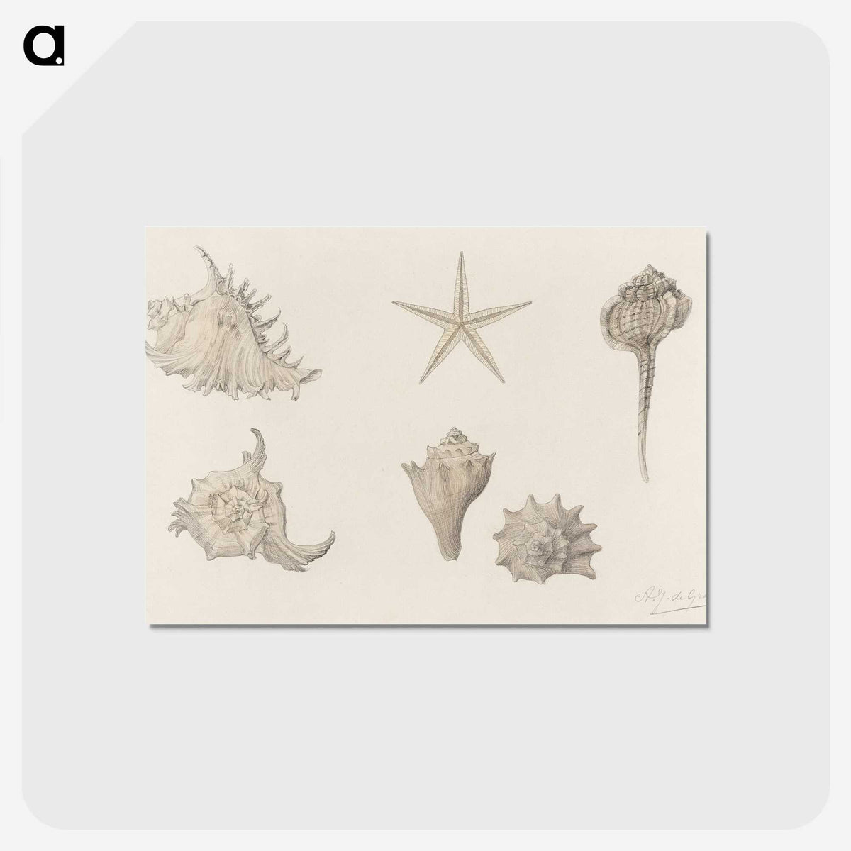 1-61_Julie-de-Graag_postcard