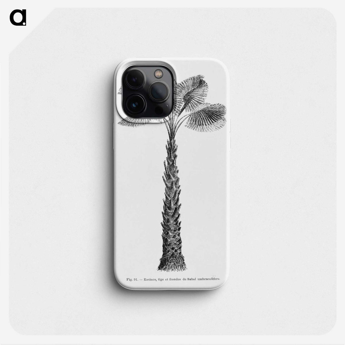 1-61_Les-Palmiers-Histoire-Iconographique_phone