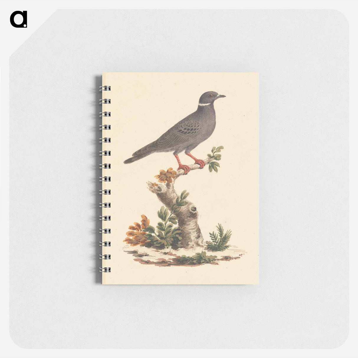 Animals and Birds: Drawings from The Bruce Archive
- ルイージ バルガーニ Memo.