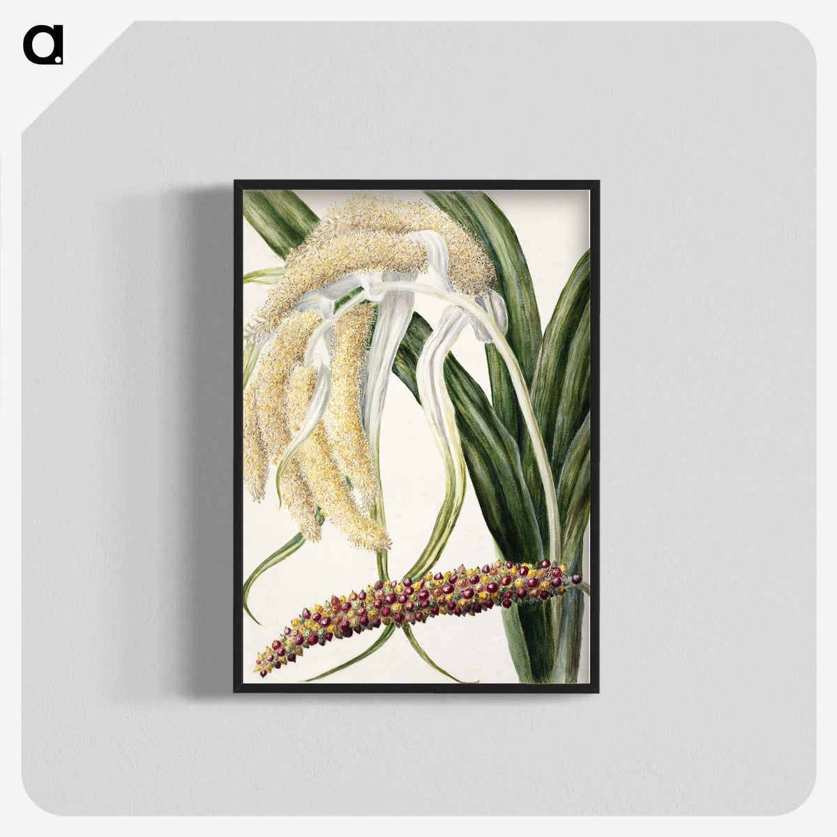 1-61_Native-Flowering-Plants-of-New-Zealand_blk-crop