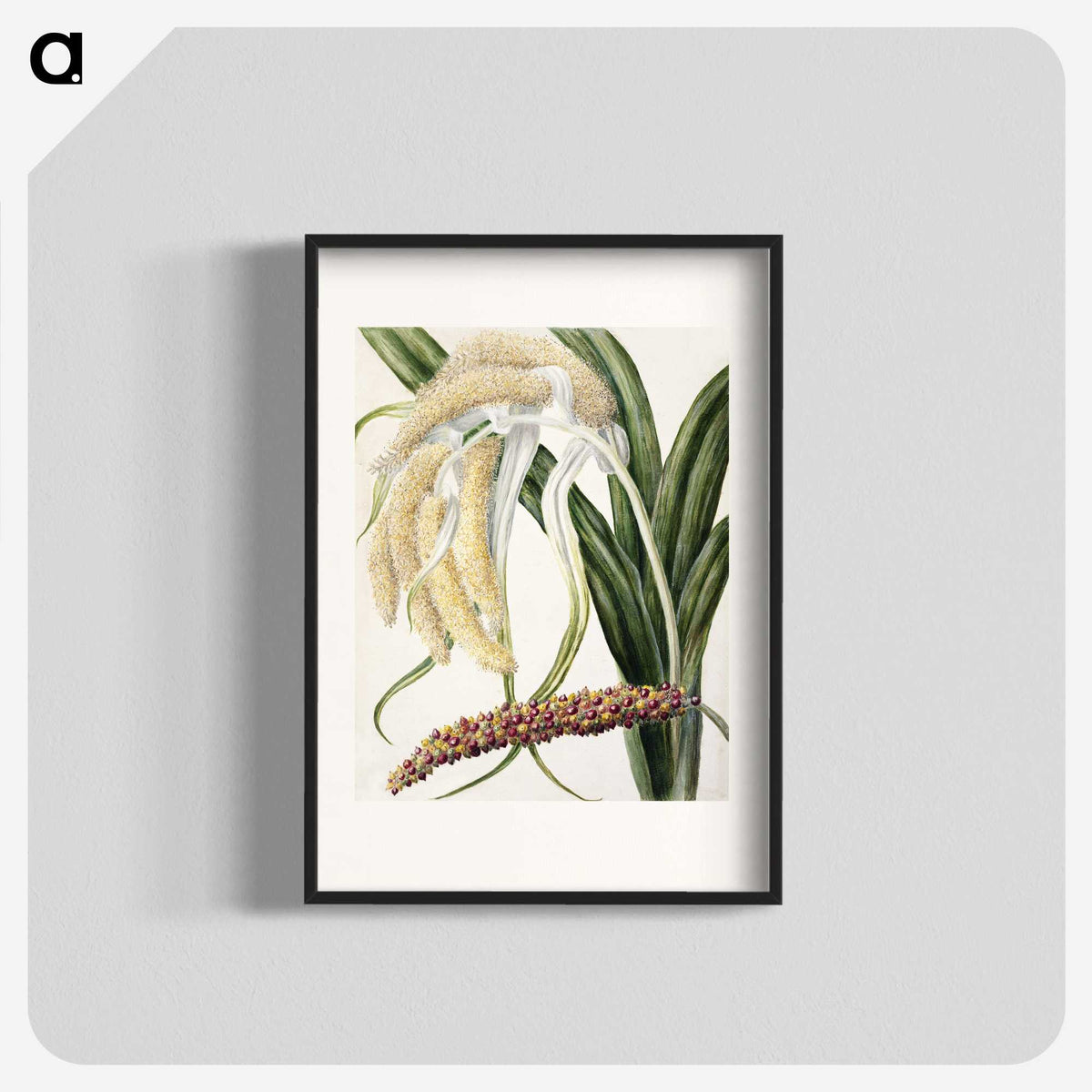 1-61_Native-Flowering-Plants-of-New-Zealand_blk