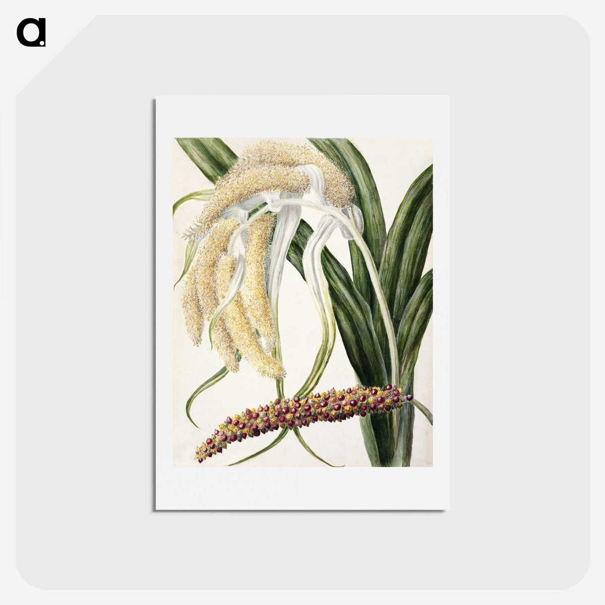 1-61_Native-Flowering-Plants-of-New-Zealand_hagaki