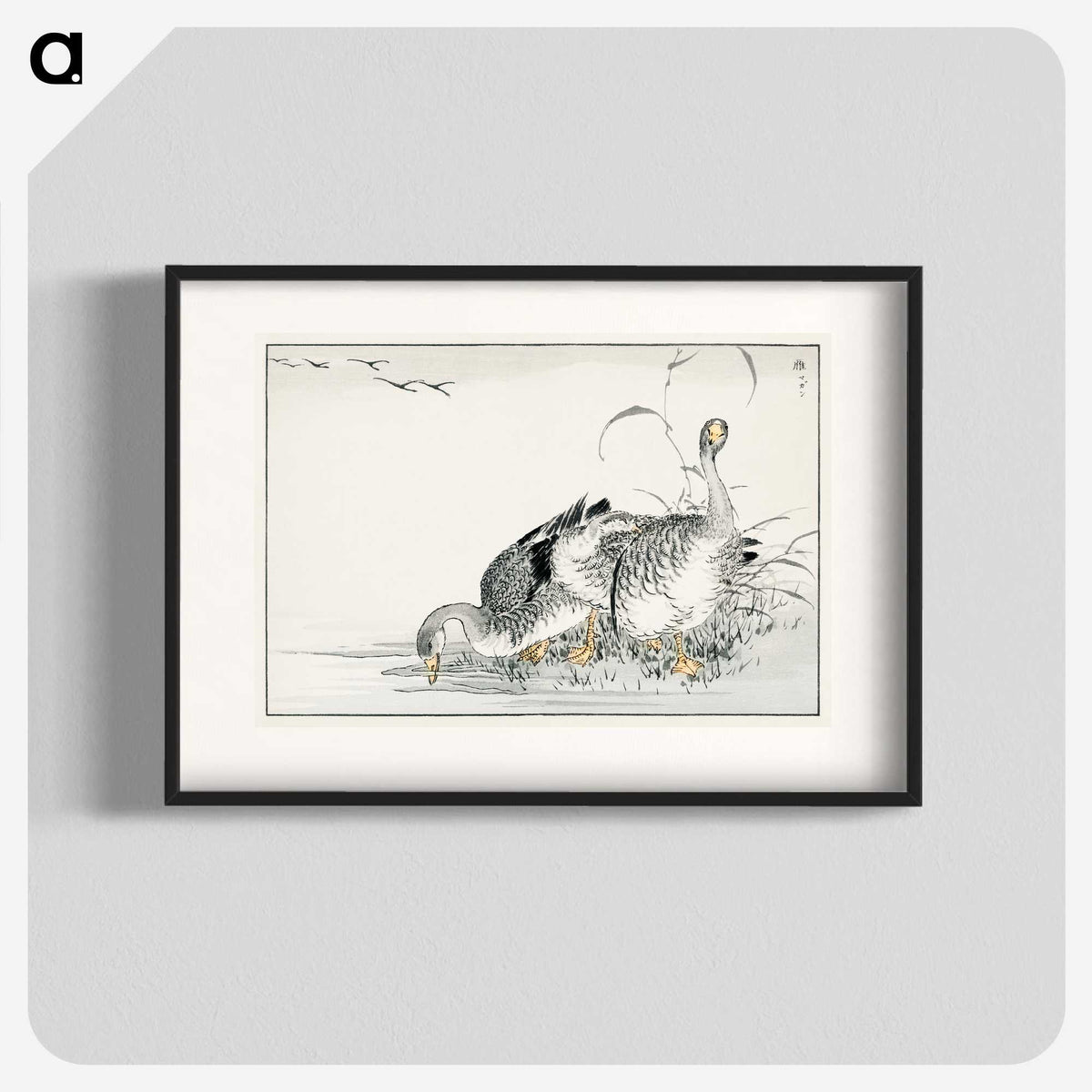 1-61_Pictorial-Monograph-of-Birds_blk