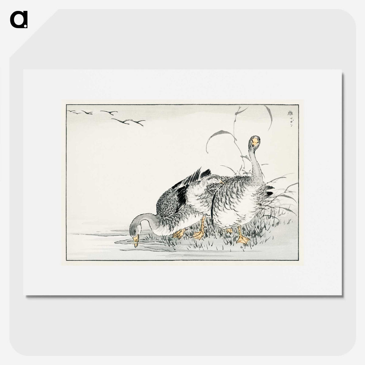 1-61_Pictorial-Monograph-of-Birds_picture