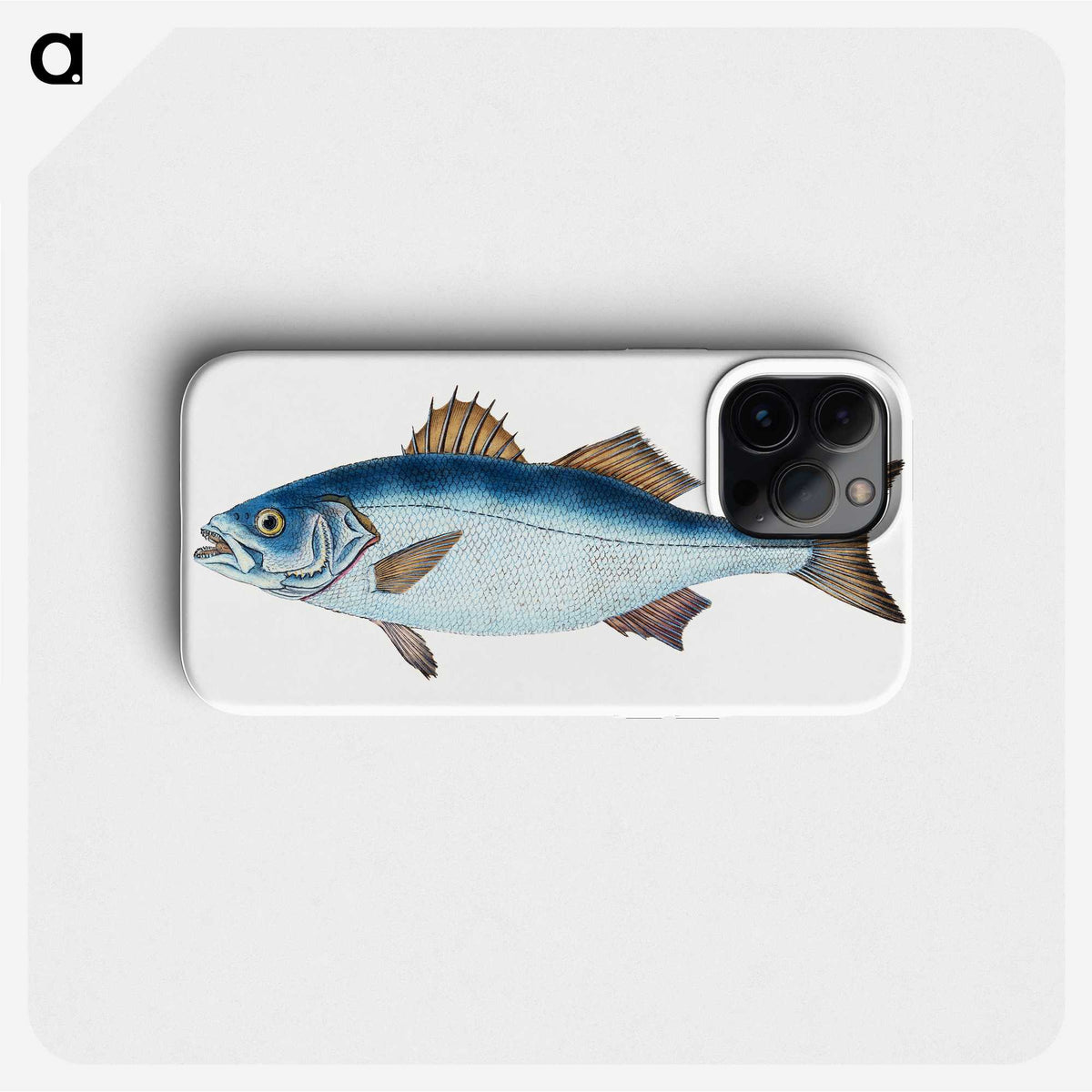 1-61_The-Natural-History-of-British-Fishes_phone