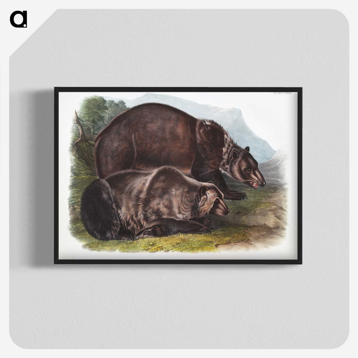 1-61_The-Viviparous-Quadrupeds_blk-crop
