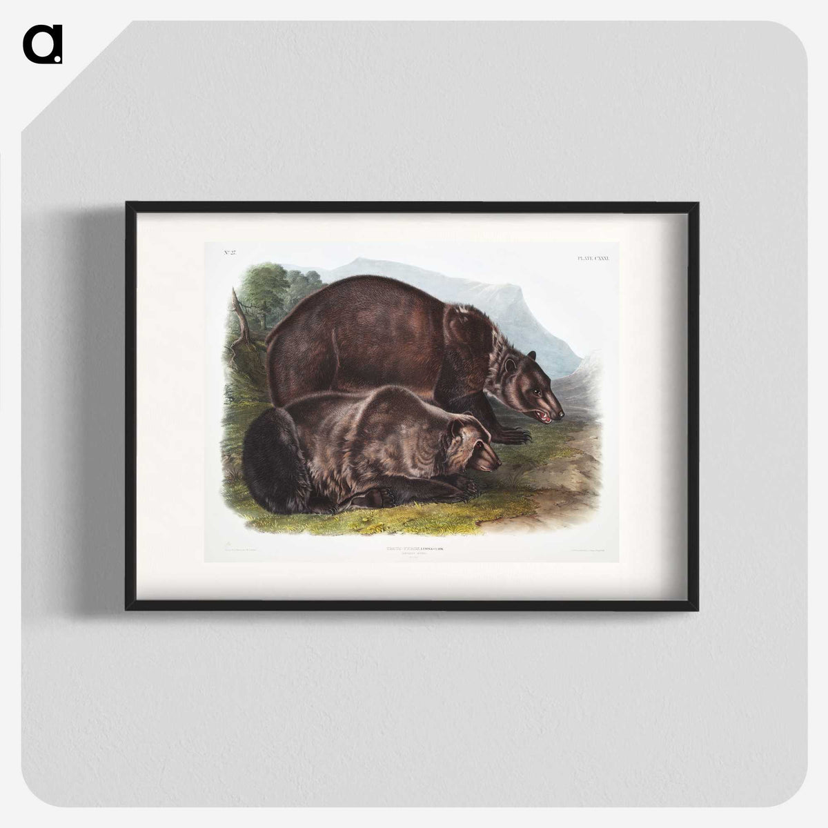 1-61_The-Viviparous-Quadrupeds_blk