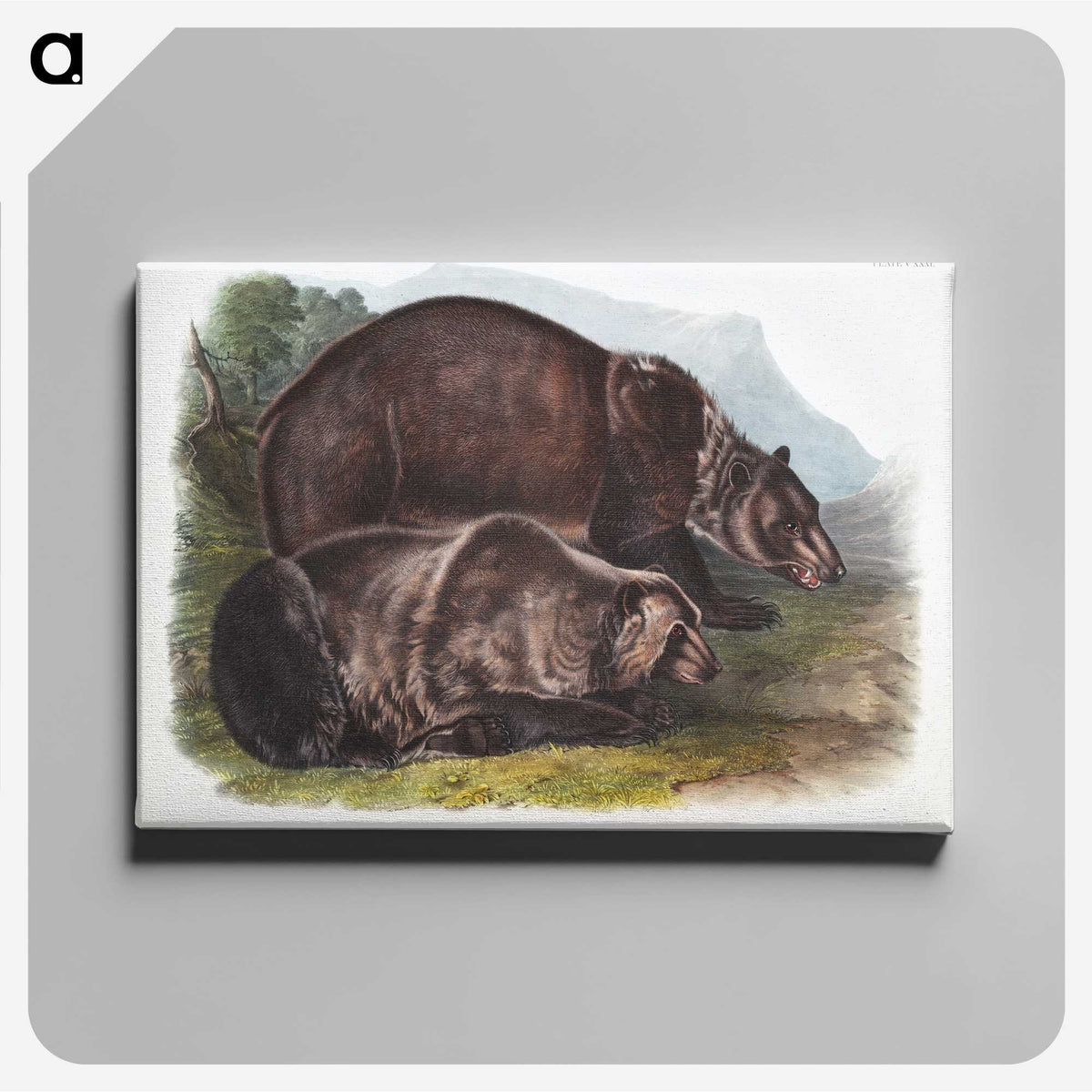 1-61_The-Viviparous-Quadrupeds_canvas