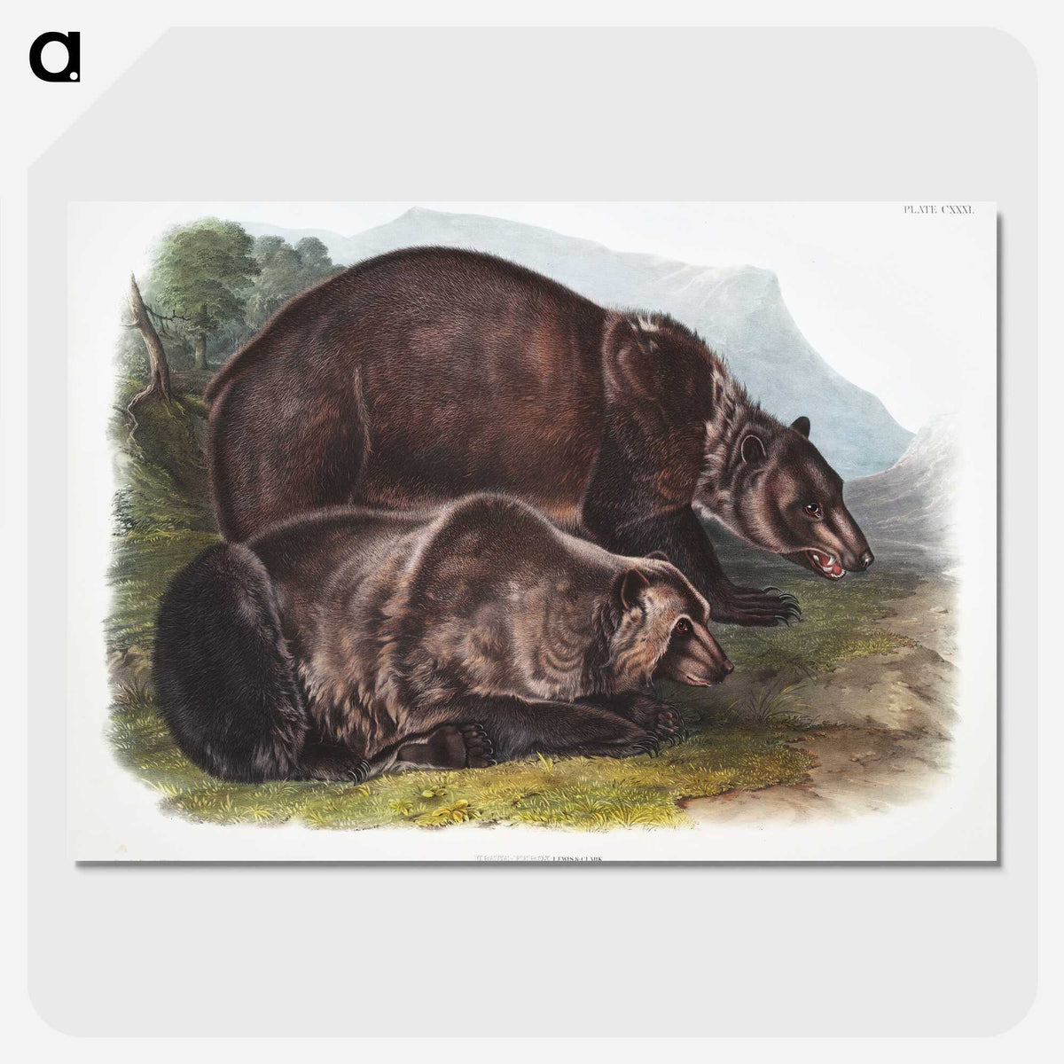 1-61_The-Viviparous-Quadrupeds_picture-crop