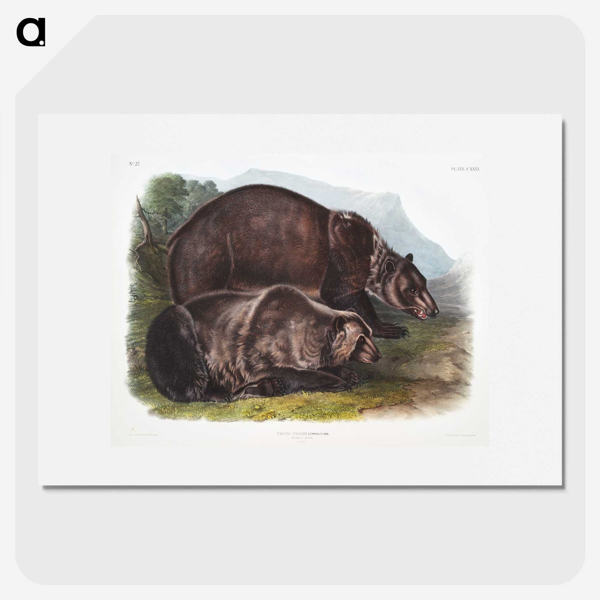1-61_The-Viviparous-Quadrupeds_picture