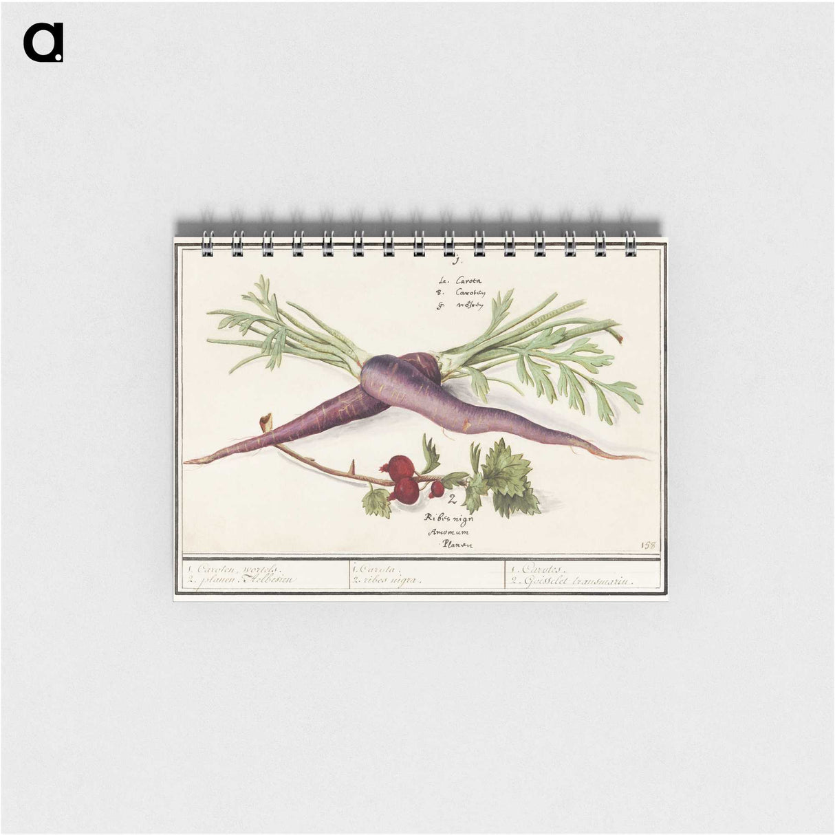 1-62_Anselmus-Boetius-de-Boodt_memo