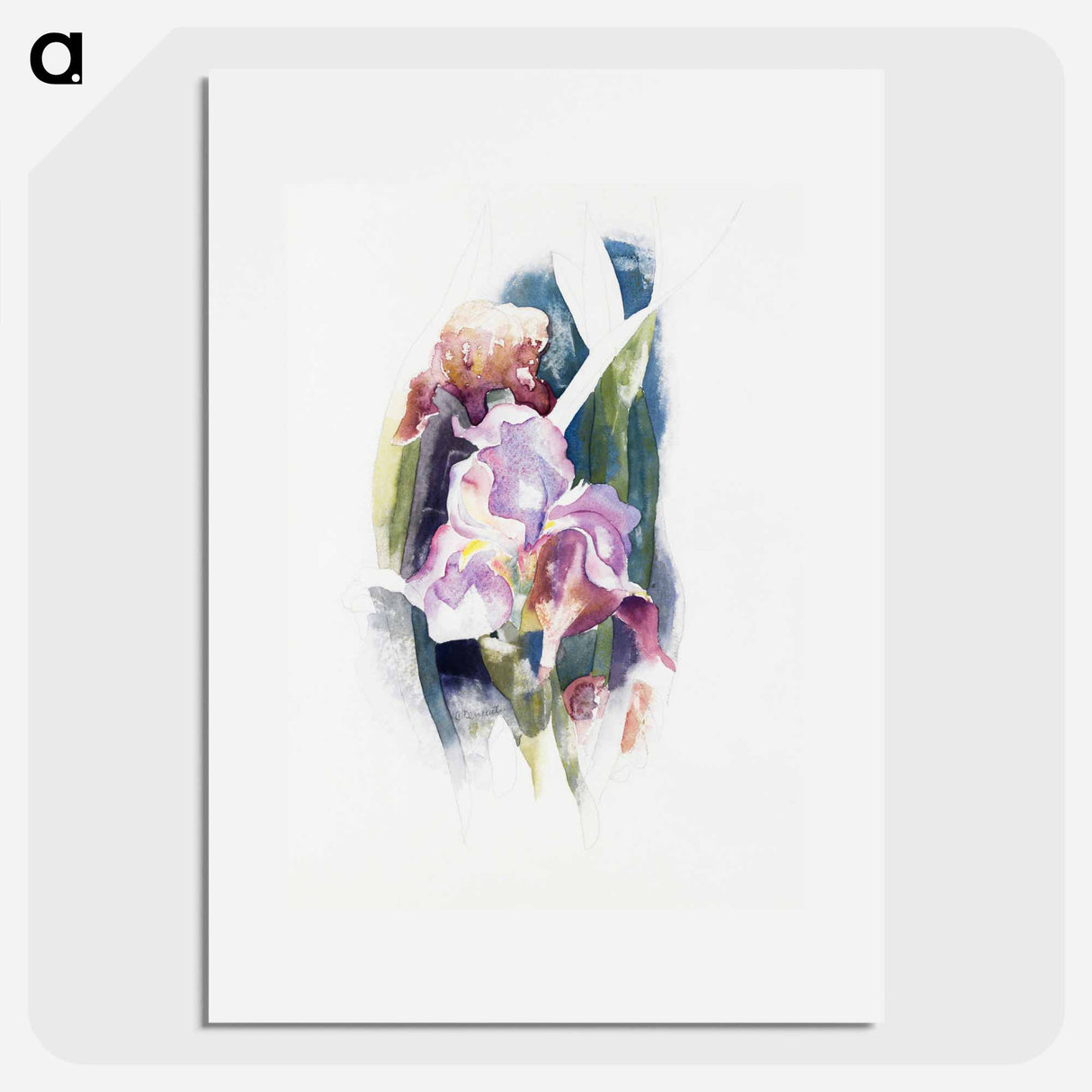 Purple Iris - チャールズ デムス Poster.