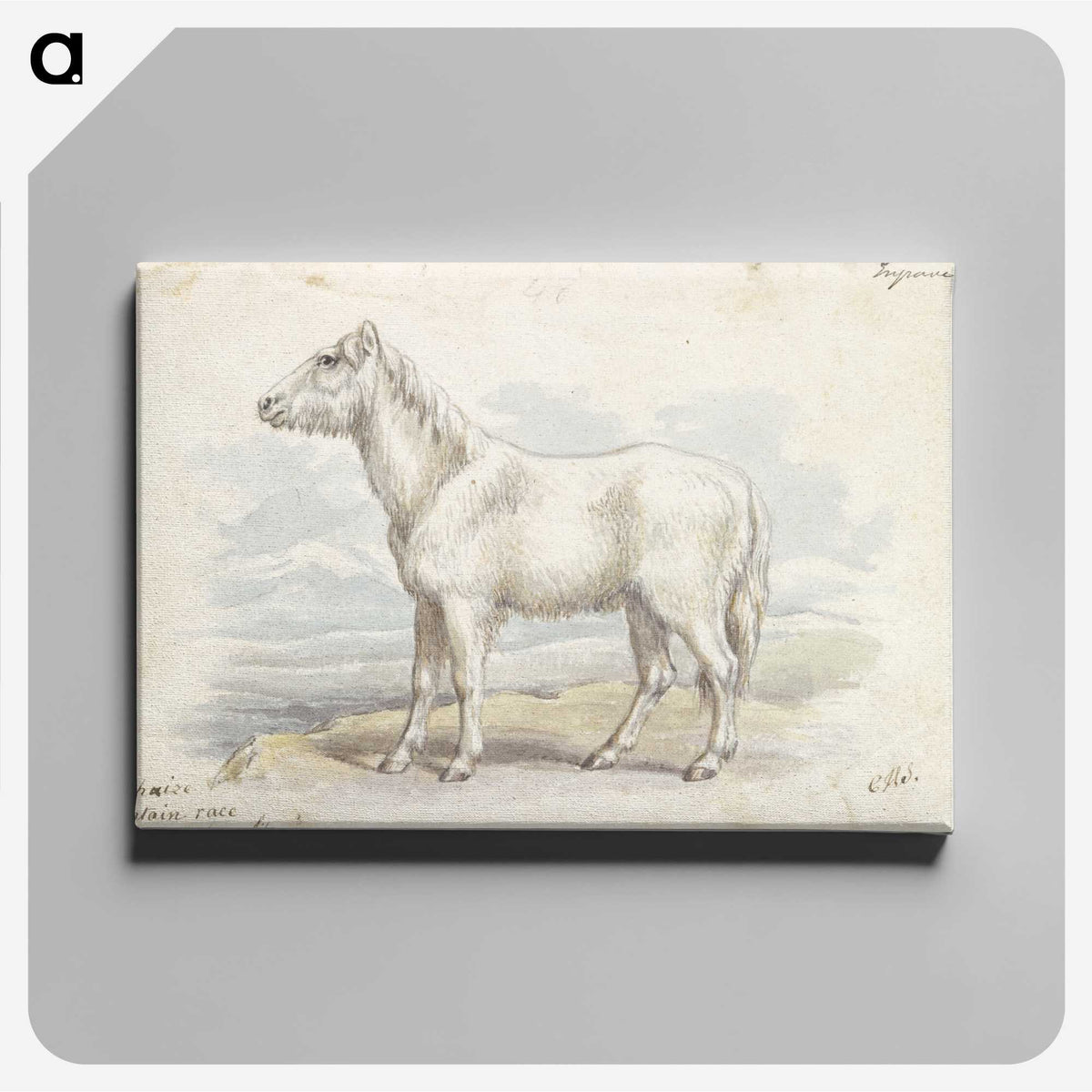 1-62_Charles-Hamilton-Smith_canvas