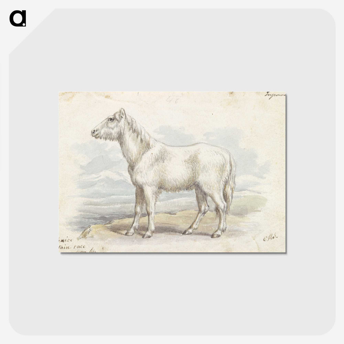 1-62_Charles-Hamilton-Smith_postcard