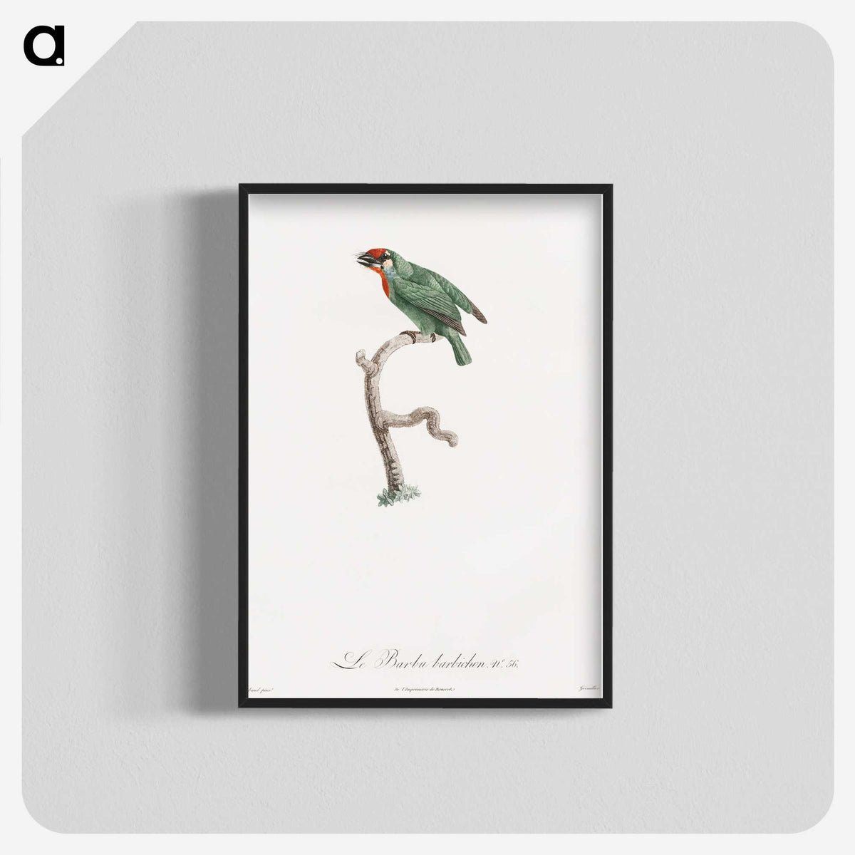 1-62_Des-Oiseaux-de-Paradis_blk-crop