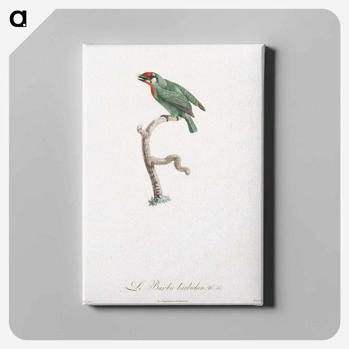 1-62_Des-Oiseaux-de-Paradis_canvas