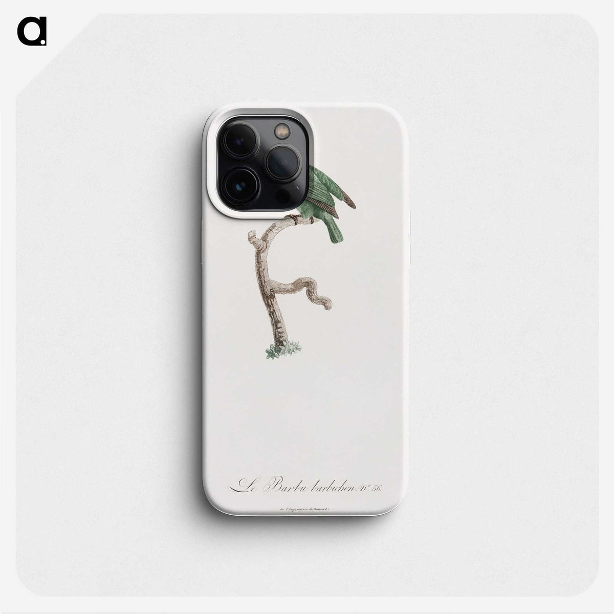 1-62_Des-Oiseaux-de-Paradis_phone