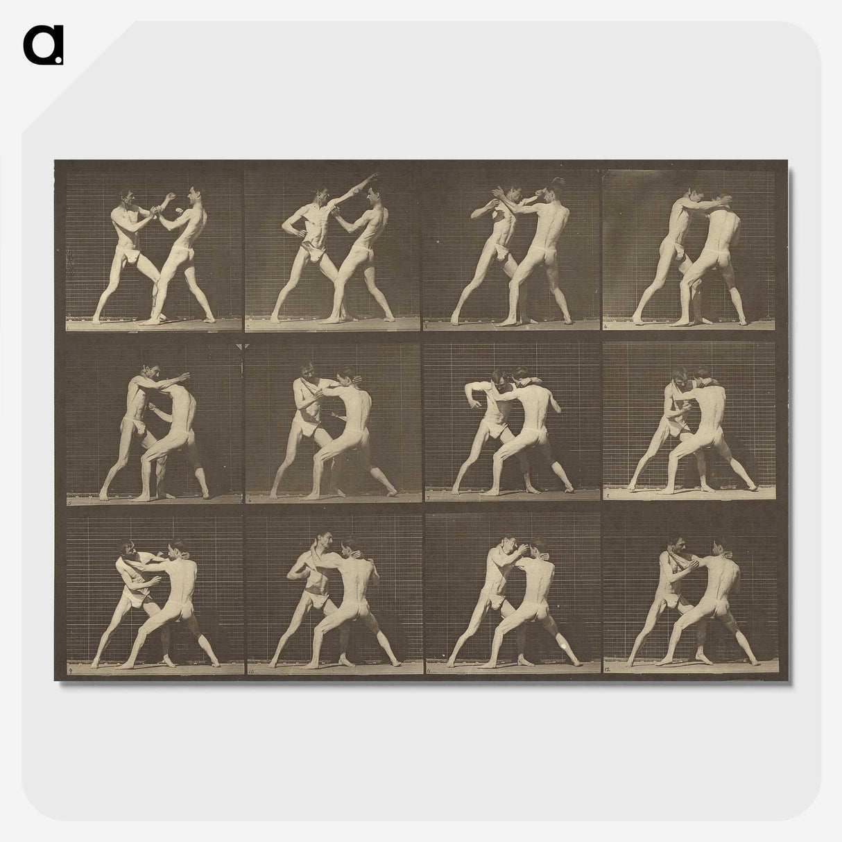 1-62_Eadweard-Muybridge_picture-crop