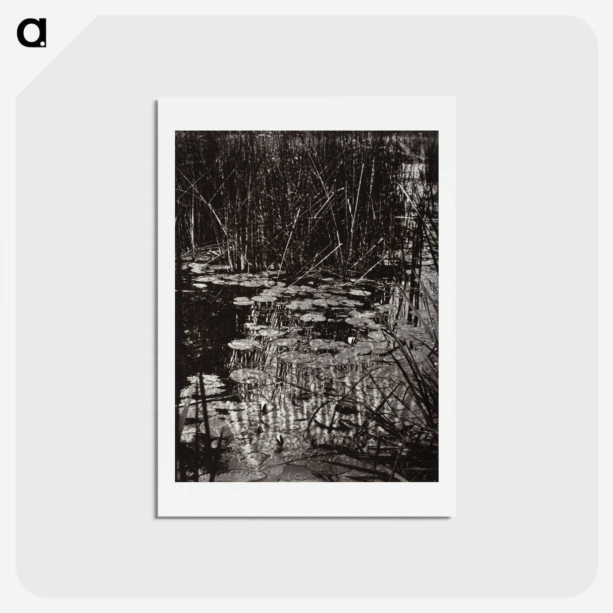 1-62_Eugene-Atget_hagaki