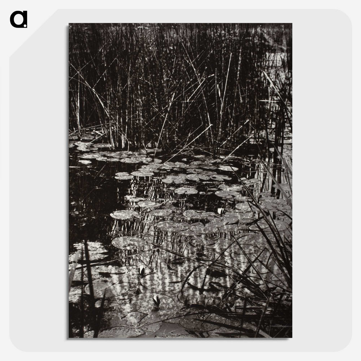 1-62_Eugene-Atget_picture-crop