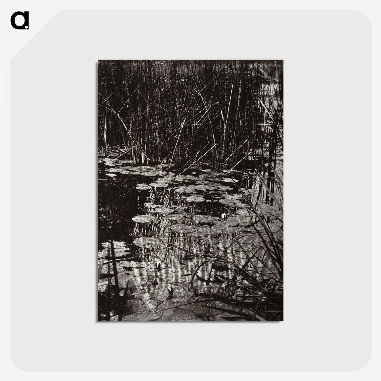1-62_Eugene-Atget_postcard