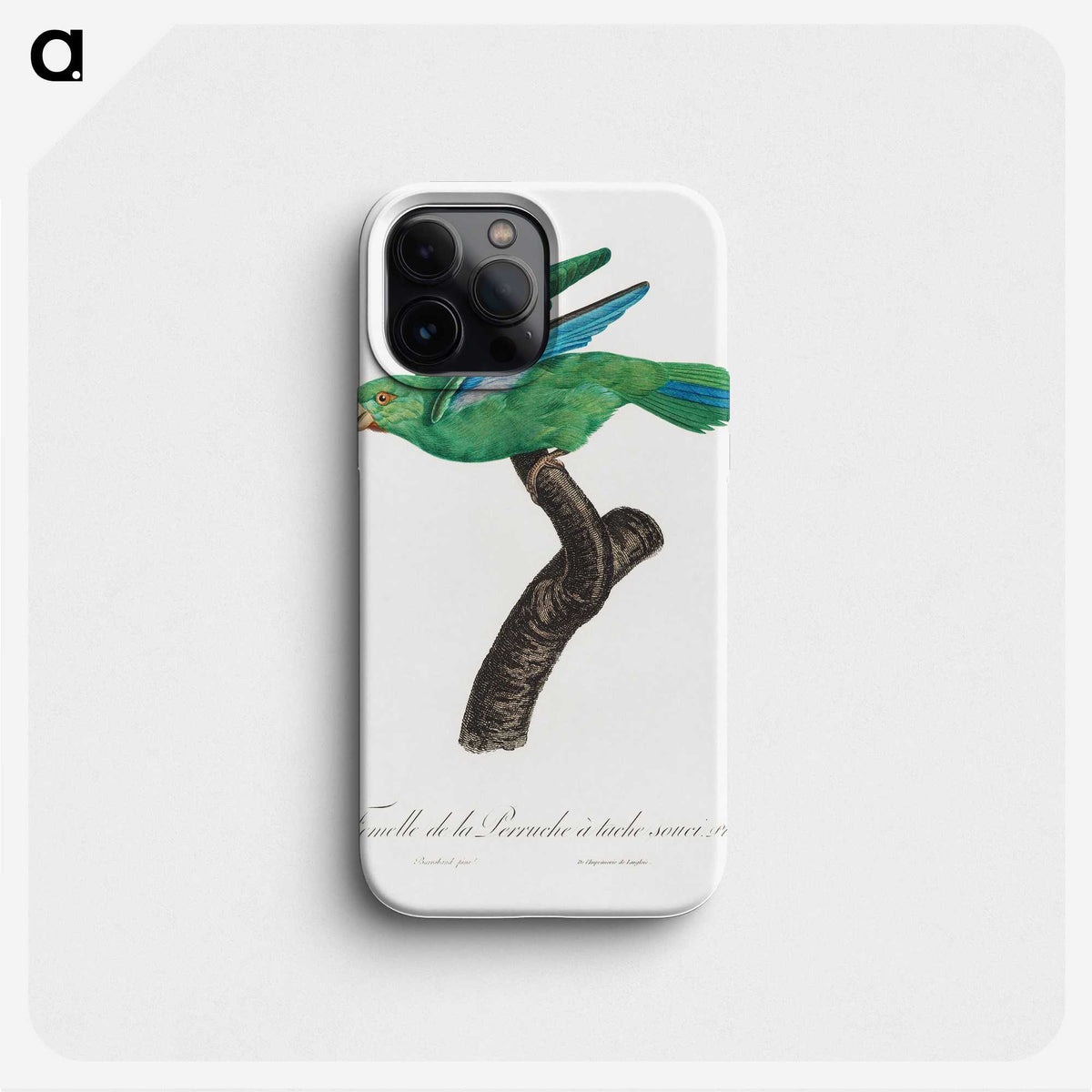1-62_Francois-Levaillant_phone