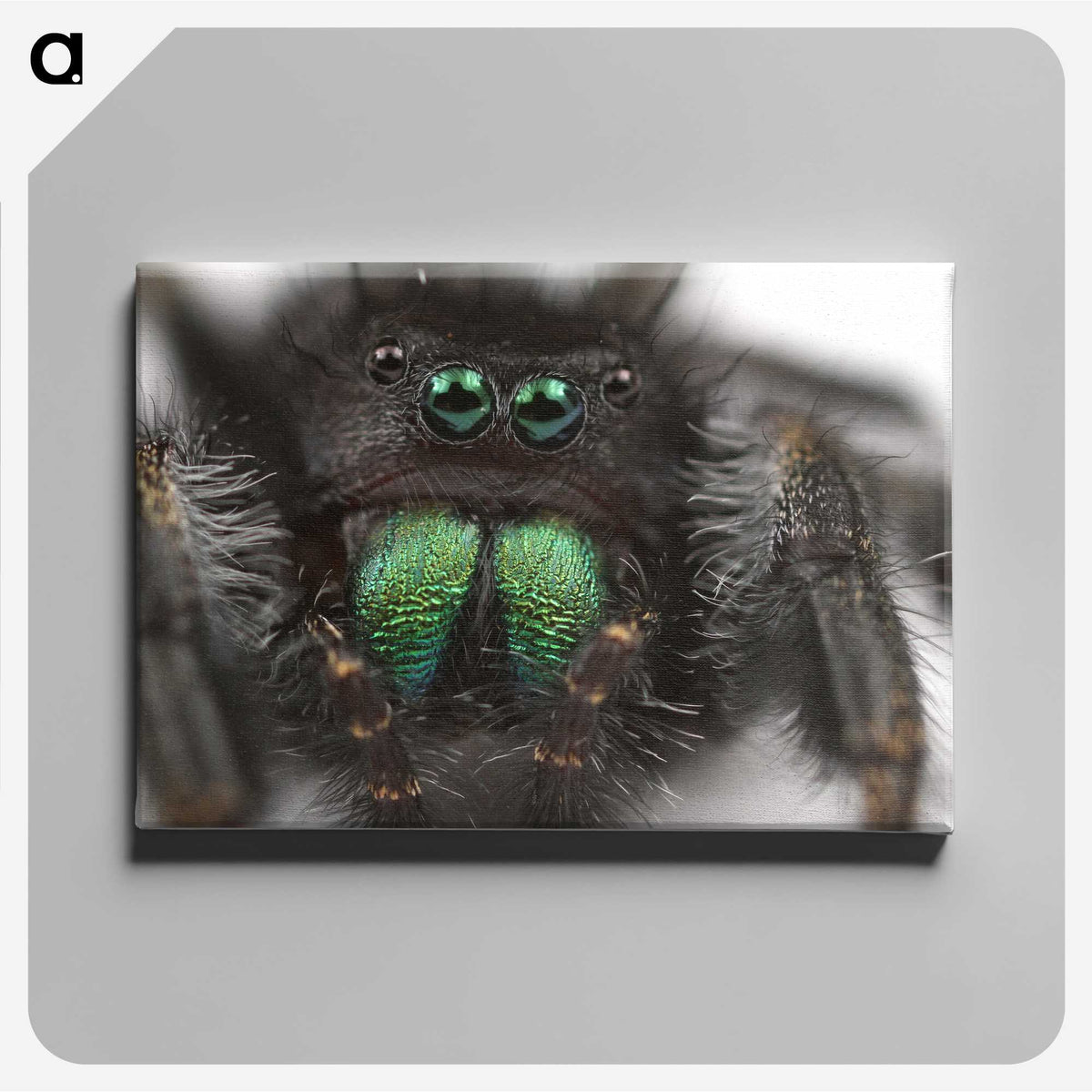 1-62_Insects-Unlocked-Project_canvas
