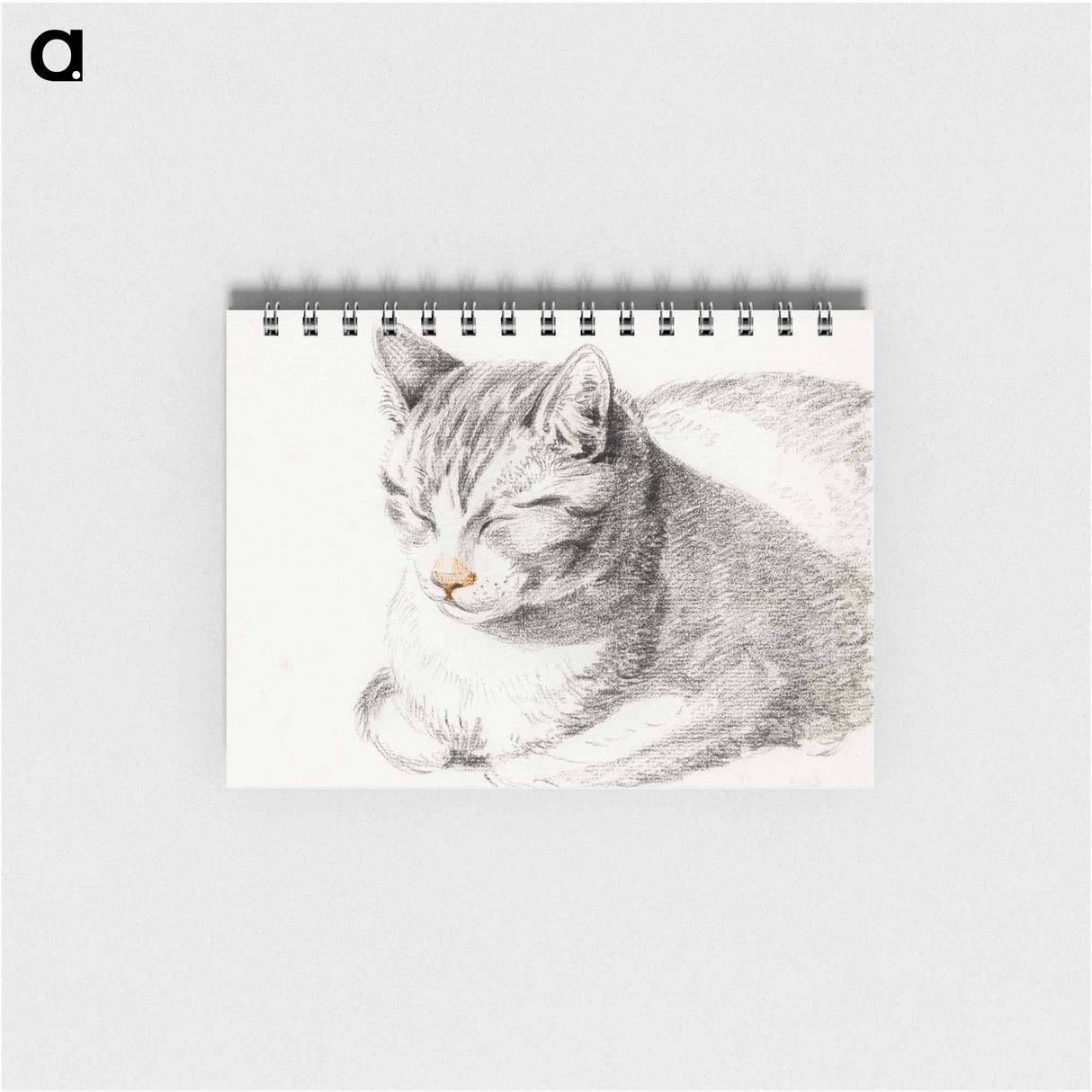 Sketch of a cat - ジャン ベルナール Memo.