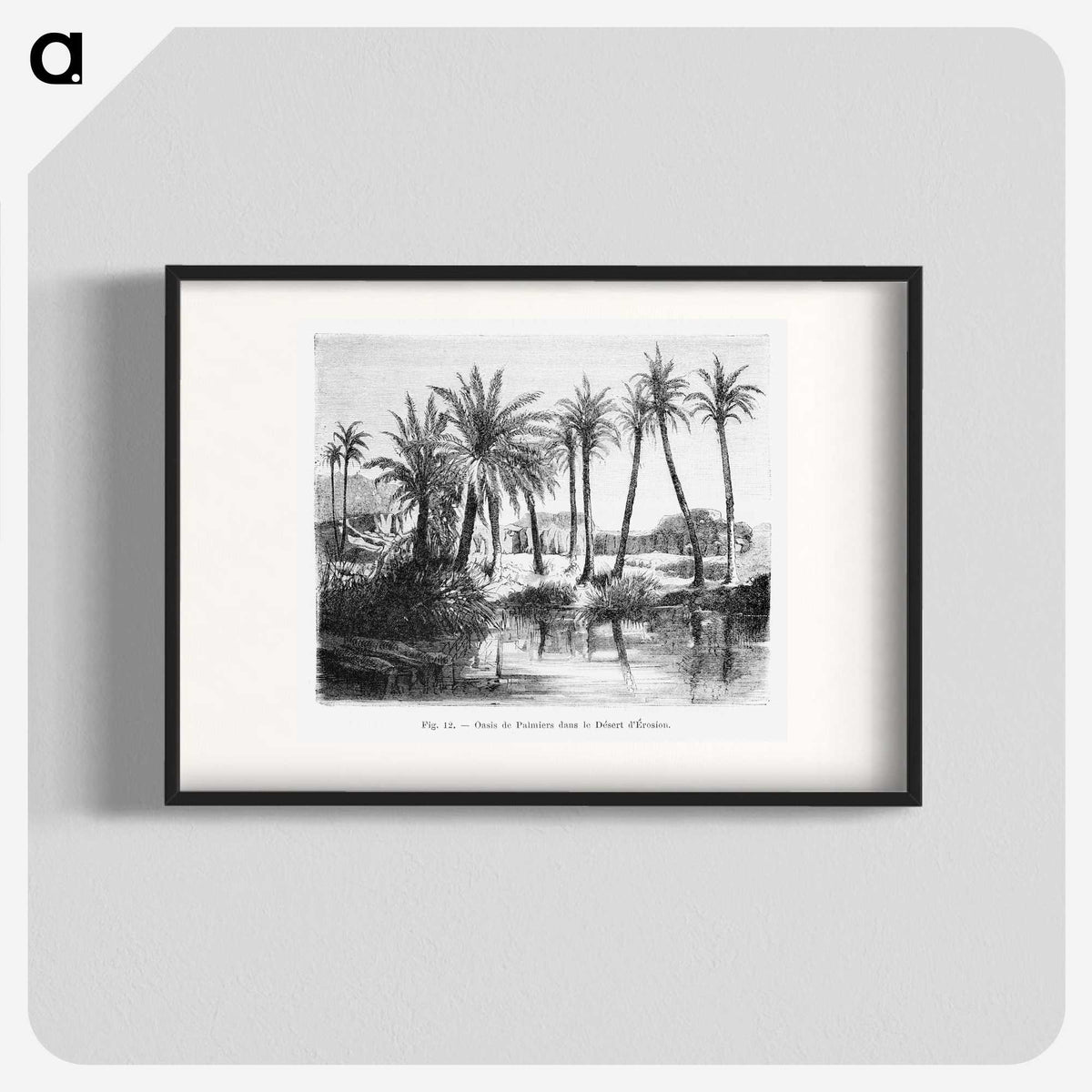 1-62_Les-Palmiers-Histoire-Iconographique_blk