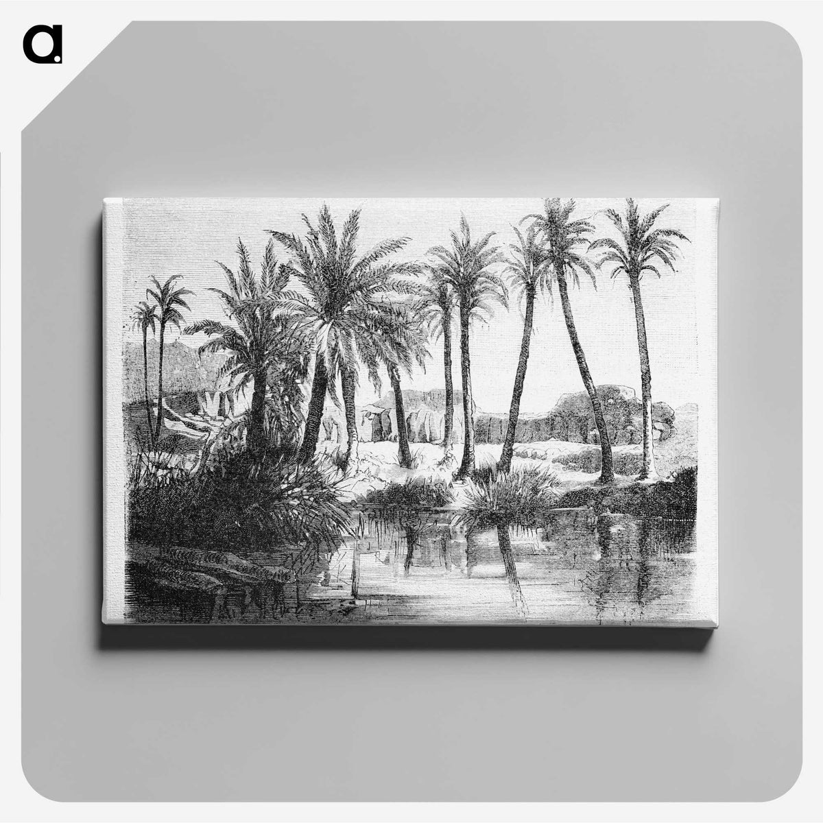 1-62_Les-Palmiers-Histoire-Iconographique_canvas