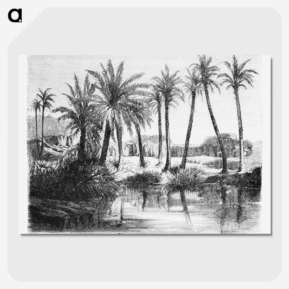 1-62_Les-Palmiers-Histoire-Iconographique_picture-crop