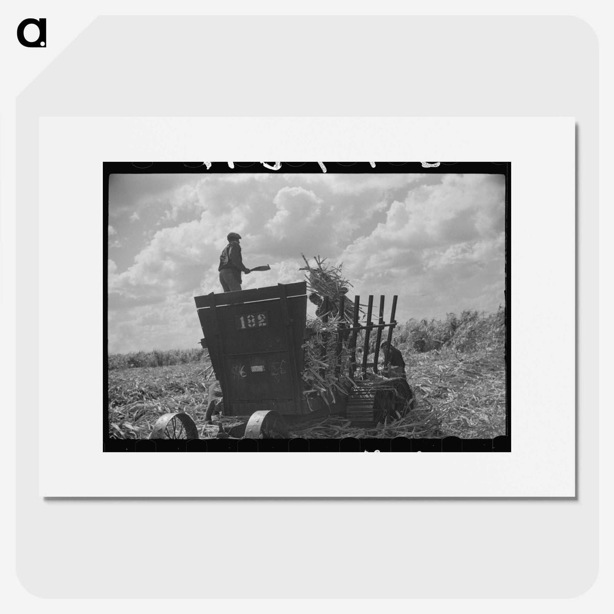 1-62_Marion-Post-Wolcott_picture